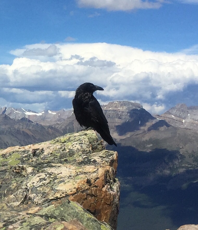 Calgary! It is&nbsp;awesome!