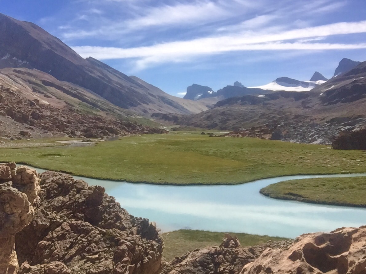 Is this a lost&nbsp;baby-pussycat?