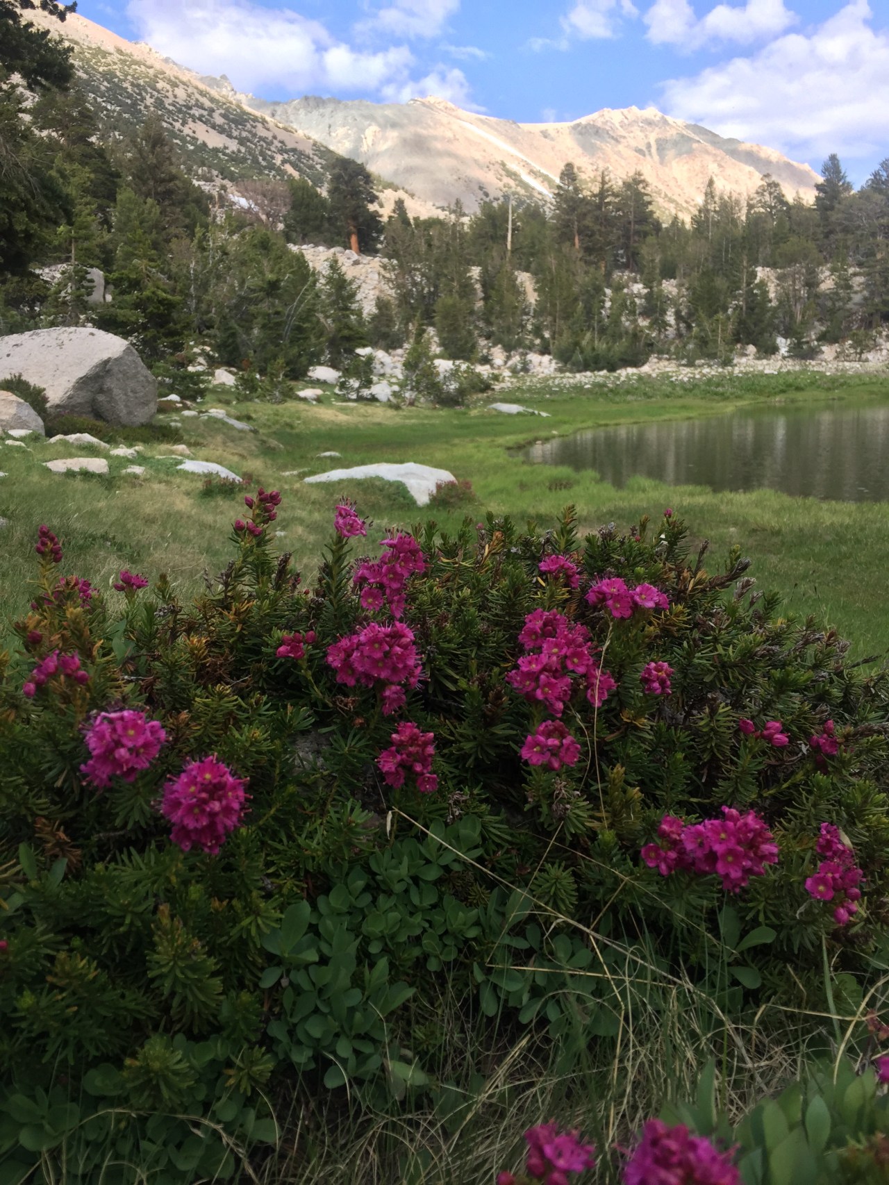 Making up my mind: Stop or&nbsp;go?