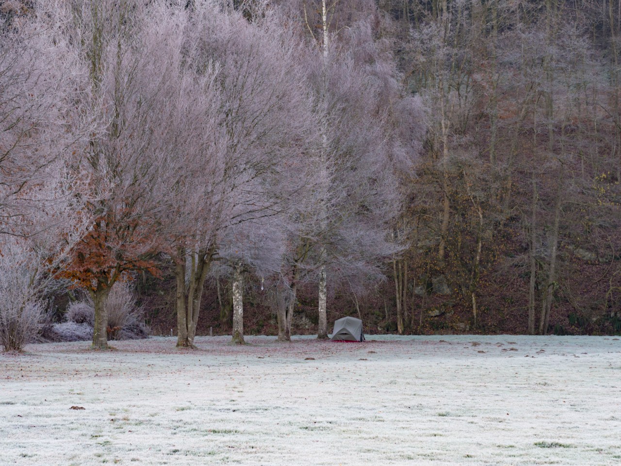 Weekendje Ardennen maar&nbsp;weer.
