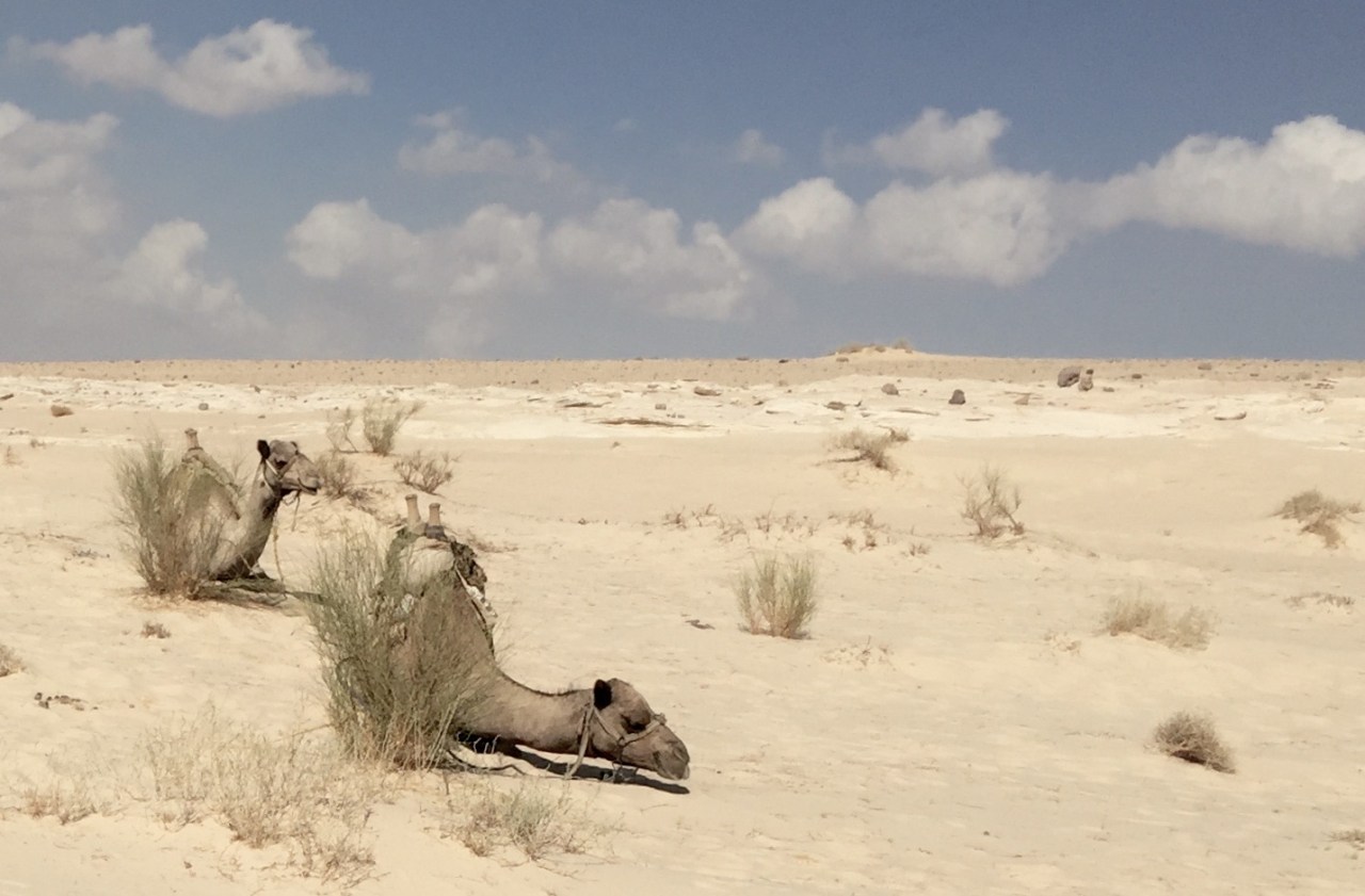Egypt blog 5: My last days in the&nbsp;Sinaï.