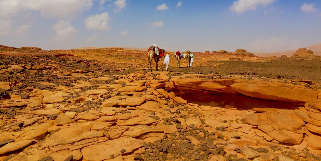 Egypt blog 6: The last hours in a Bedouin&nbsp;village.