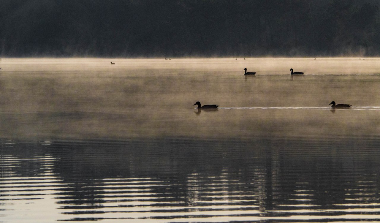 How to plan a new&nbsp;trip.