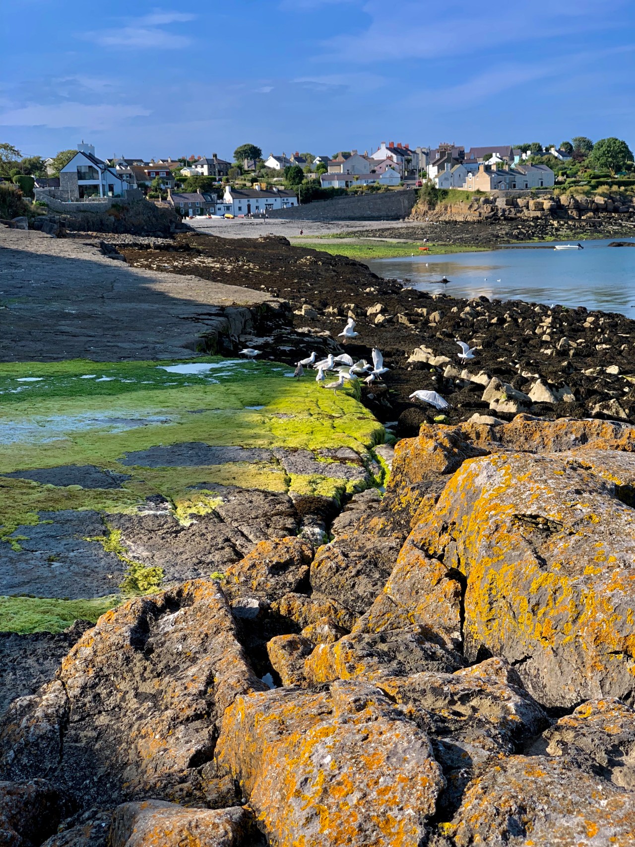 Day three on the Angelsey Coastal&nbsp;Path